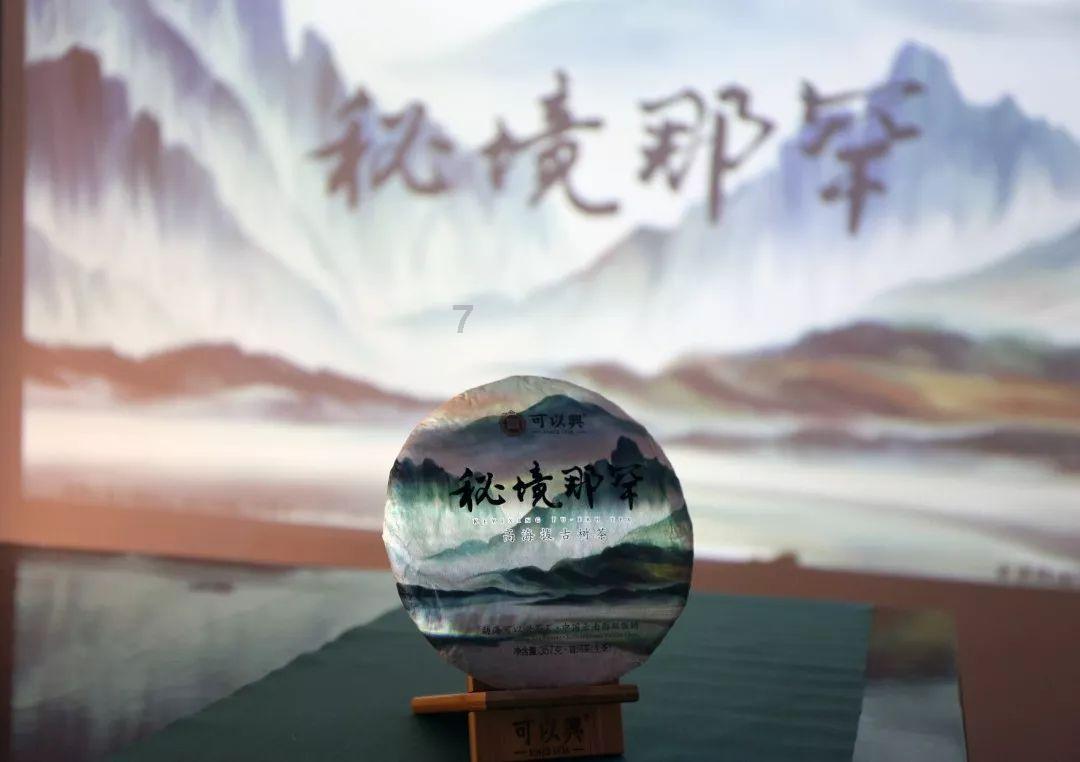 植物大战僵尸9